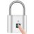 SPORWAY Fingerabdruck Schloss: USB-Aufladung Vorhängeschloss Schlüsselloses Schloss IP55 Wasserdicht Vorhängeschlöss, Klein Schloss mit Fingerabdruck für Gym, Büro, Haus, Garten, Schrank (Silber) - 1